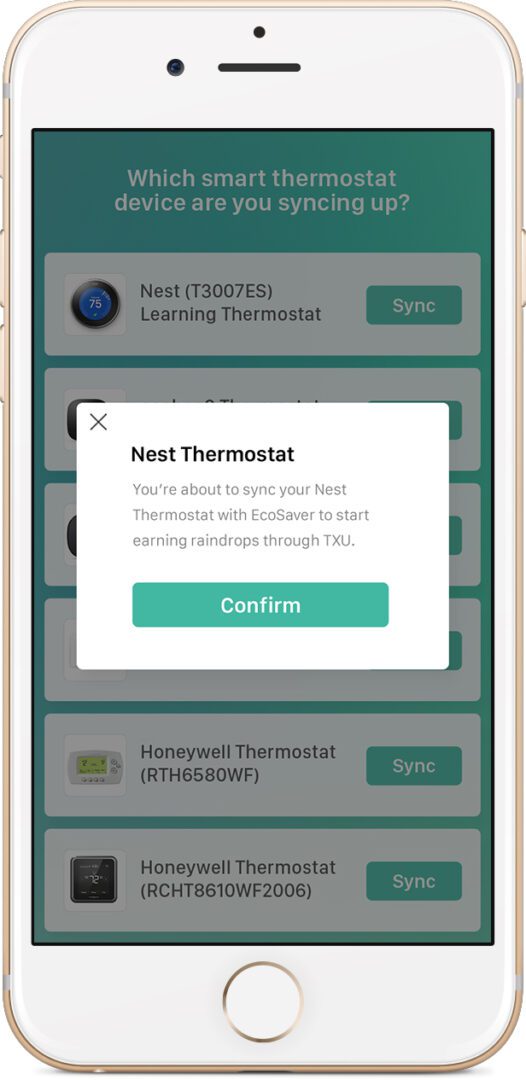 Nest Confirmation Screen